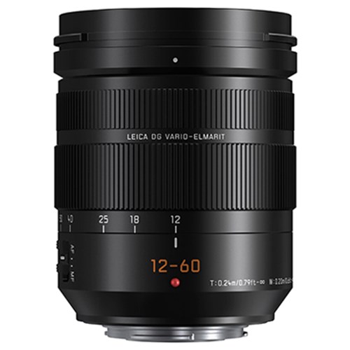 Panasonic 12-60mm
