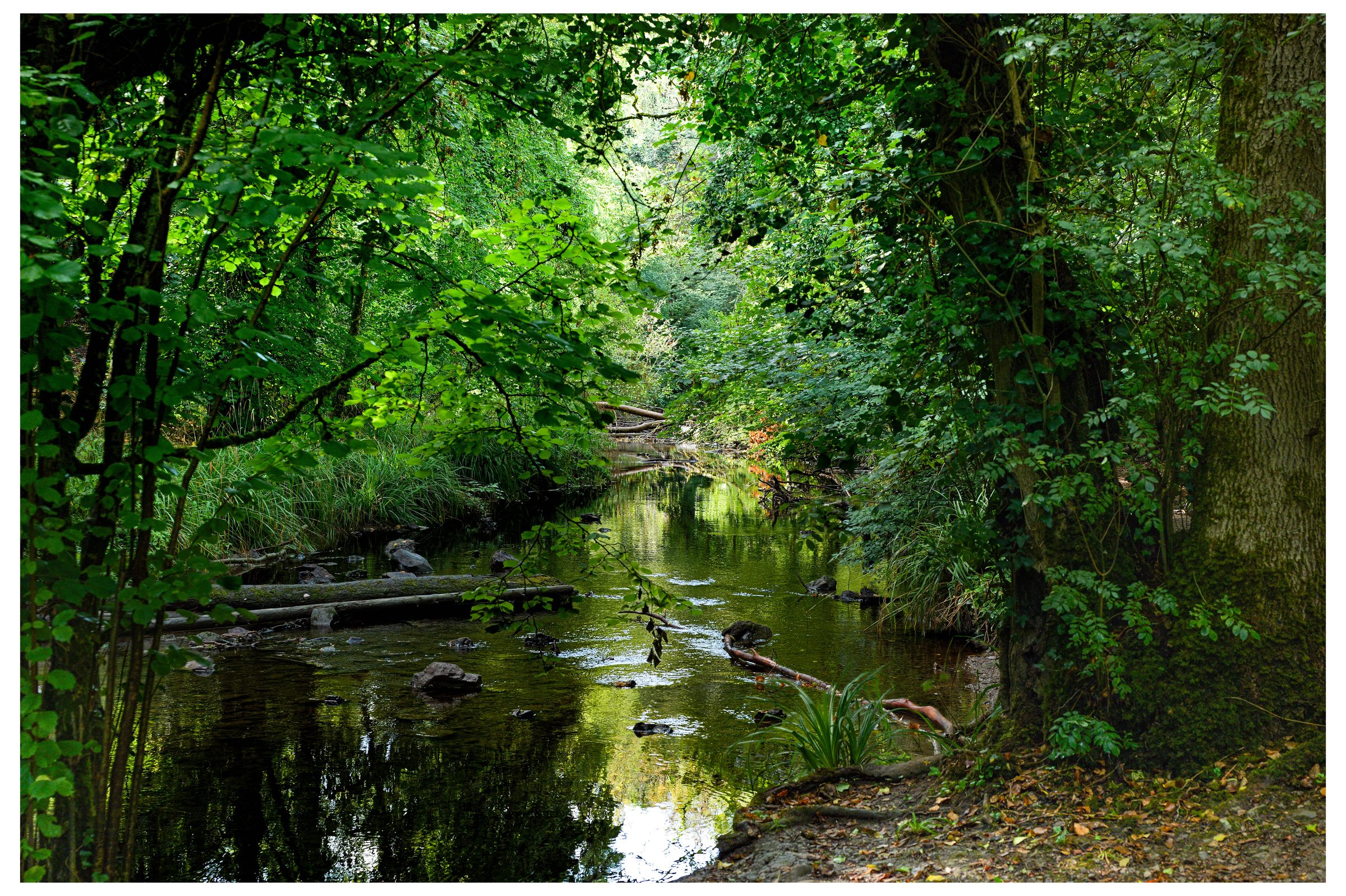 Vallis Frome